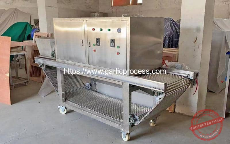 Automatic-Garlic-Peeling-Machine-for-Argentina